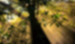 Imagem1
