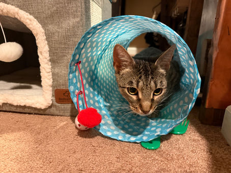 To Violet, with love