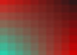 Color Palette