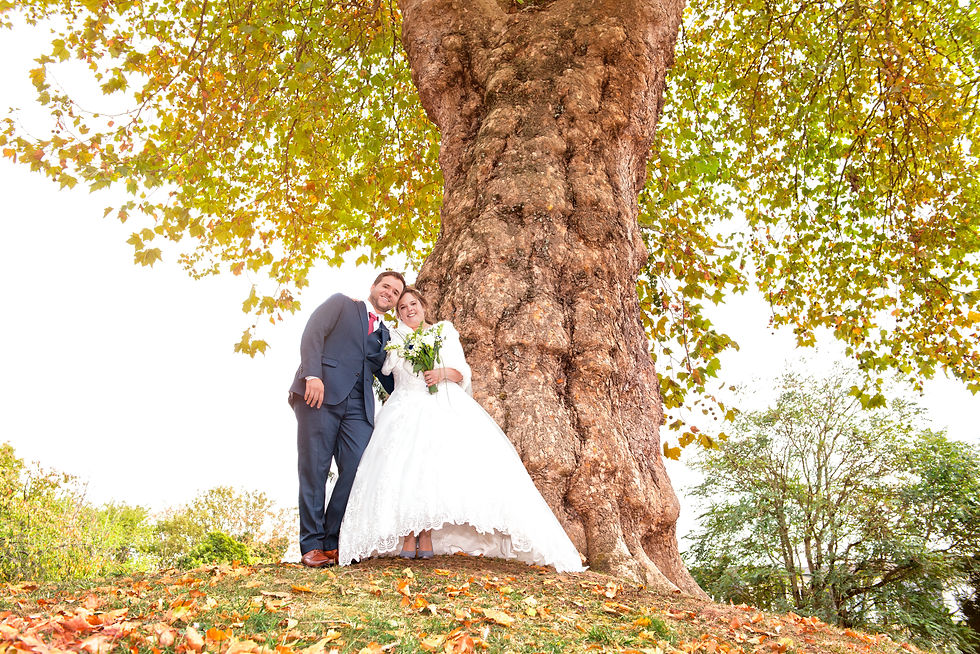 photographe de mariage - 95 - val d'oise - soisy sous montmorency -videophoto-pro.com - saint leu - montmagny