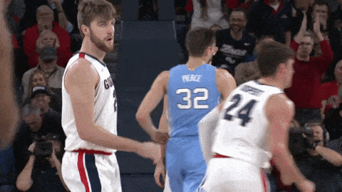 Gonzaga Timme is dancing.gif