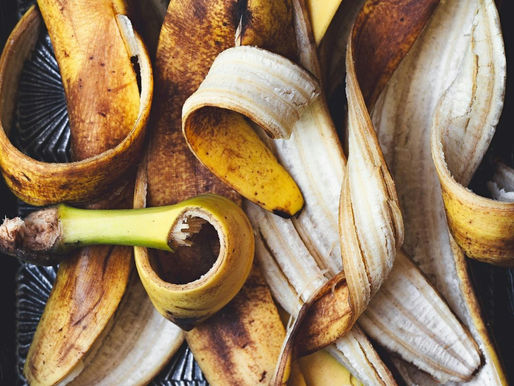 Composting without a backyard