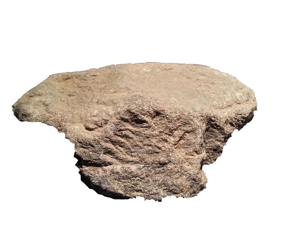 Gneis biotitico