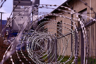 nsplsh_475f674f684a6543704d67~mv2_d_4592