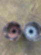 image0 (1).jpeg