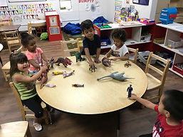 IMG_0160.jpeg