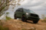 sequoia2020.jpg