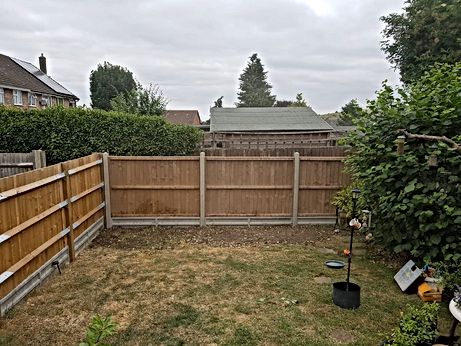 JD Landscapes & Tree Care