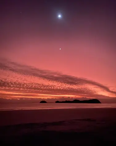 Sonnenaufgang mit Kängurus Cape Hillsborough