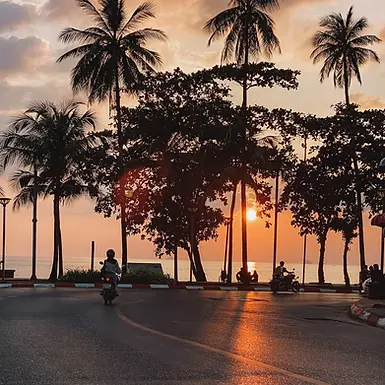 Sonnenuntergang mit Palmen in Ao Nang
