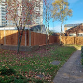 feather edge bays with concrete posts and timber gravel boards