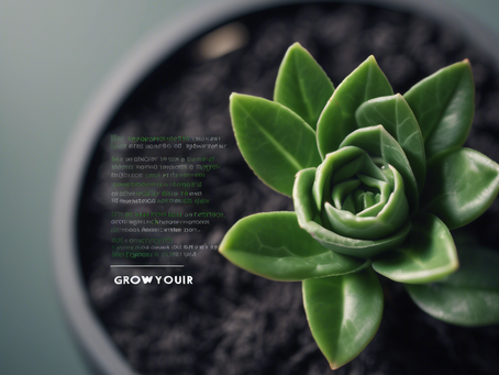 Grow Your Brand: Personalized Marketing Solutions with Pakama Consulting