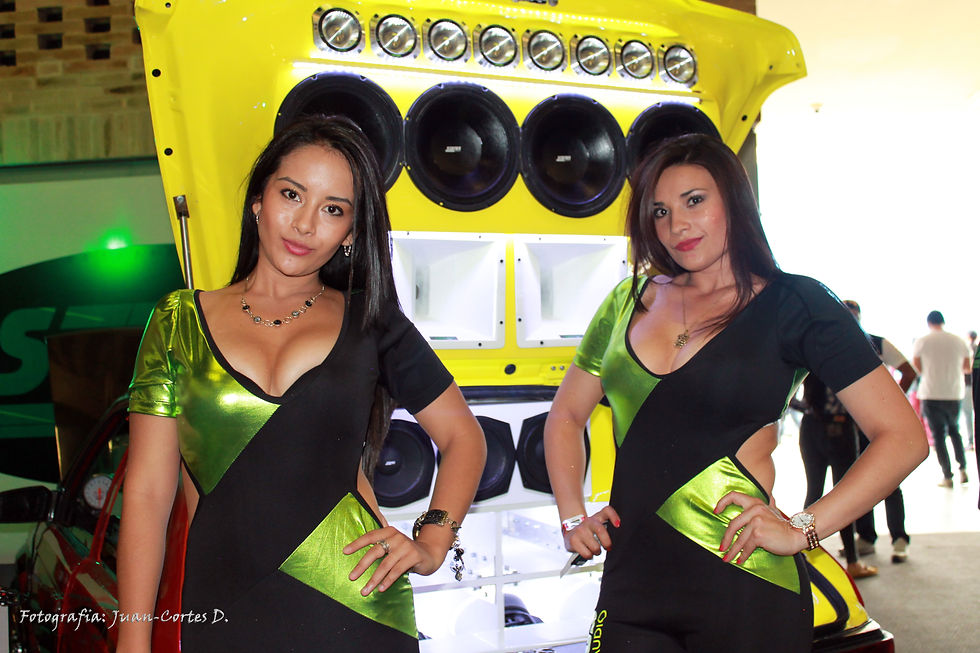 CAR AUDIO 2016