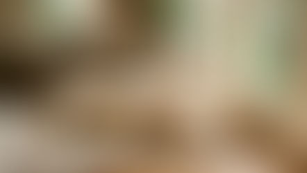 Animaux décédés : connexion, signes et communication animale avec l'au-delà