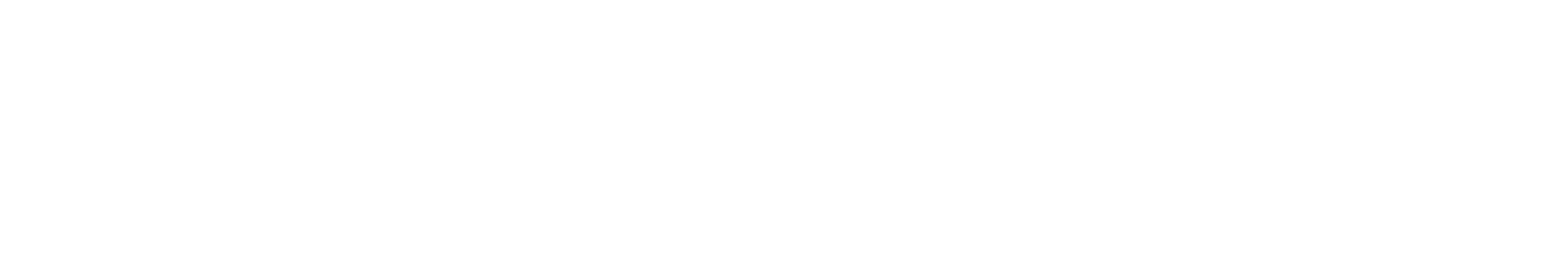INTENTION Logo white text only.png