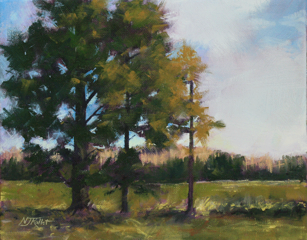 Tree Study