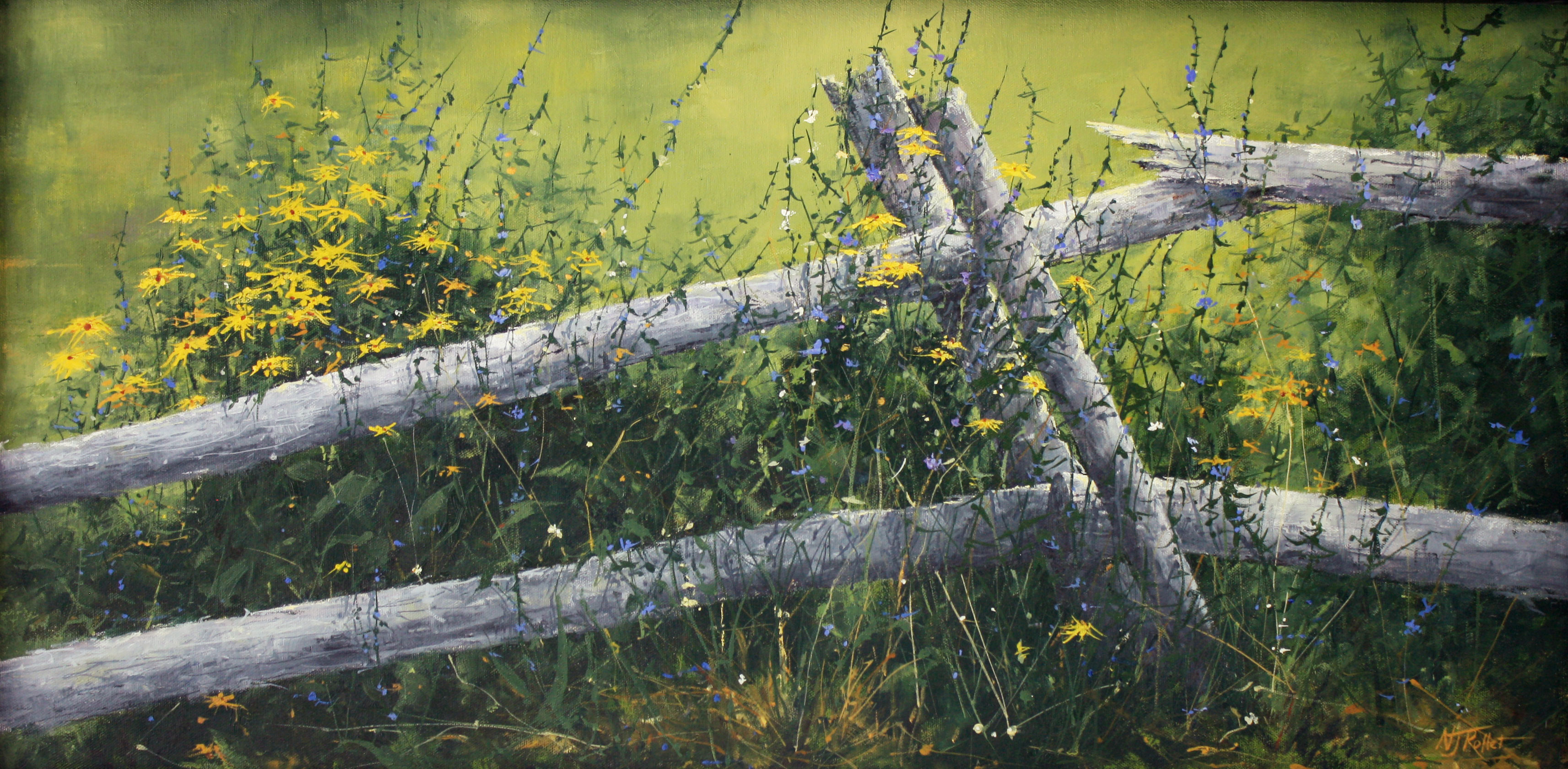 Along the Fence