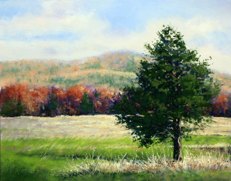 Evergreen in Fall