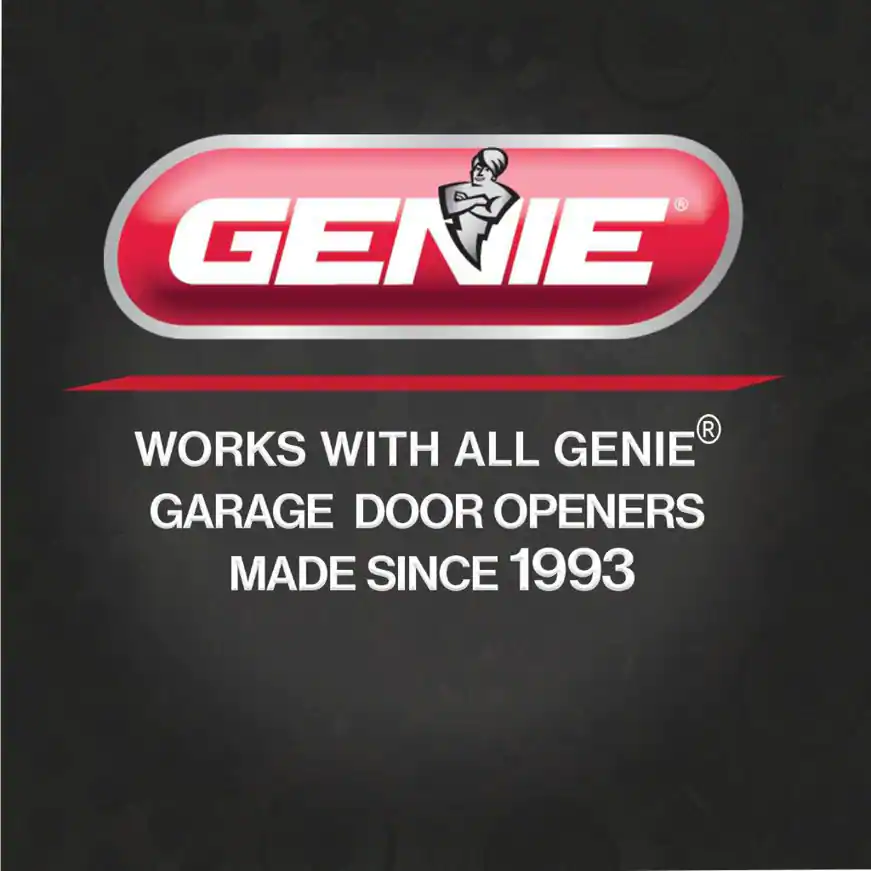 genie.webp