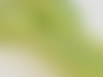 【ヤングコーン🌽✨】 5月〜7月まで旬のヤングコーン。