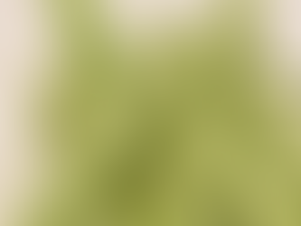 【モロッコインゲン✨🌿】