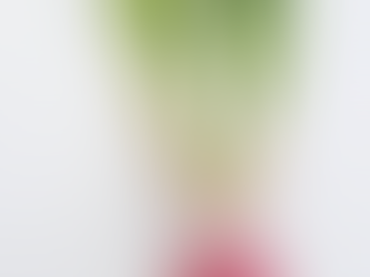 【 春の蕪✨🍴】〜 葉にも栄養たっぷり💕 〜