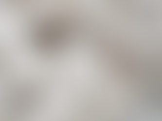 〜海の鮑のようなコリコリの食感?!✨〜 「あわび茸」