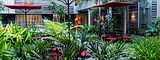 Jardin Central II_edited.jpg