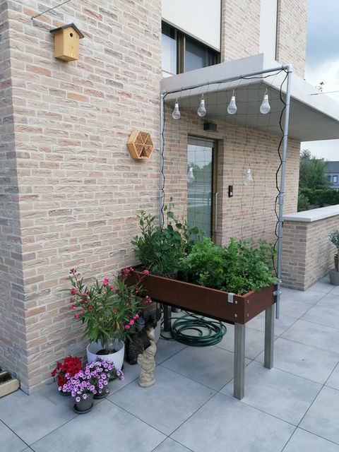 terras met serre, klimgroen en moestuinbakken