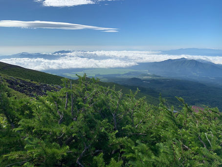 高地順応