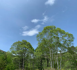 IMG_9459.jpeg