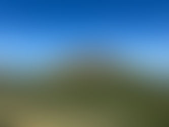 浅間山周辺の花達