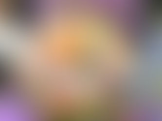 ご結婚おめでとう✨