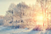 Mood boosting winter tips...