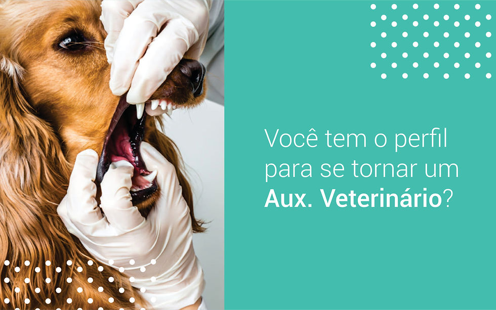 Será que você tem o perfil do curso de Auxiliar Veterinário? 👩‍⚕👨‍⚕