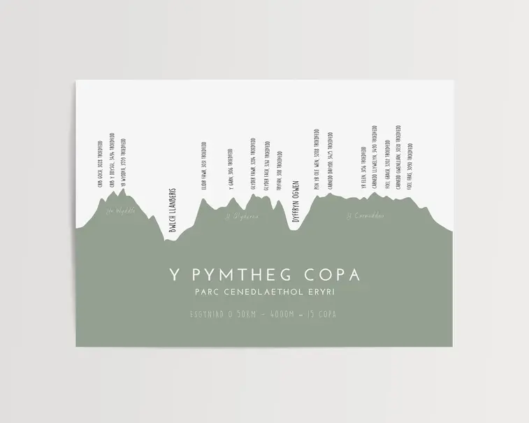 Welsh 3000s A4 Print