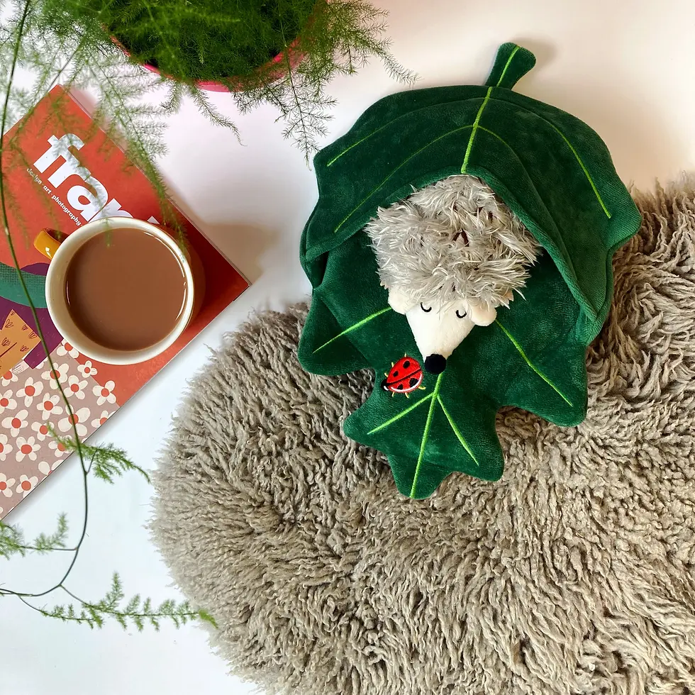 Hedgehog Hot Water Bottle