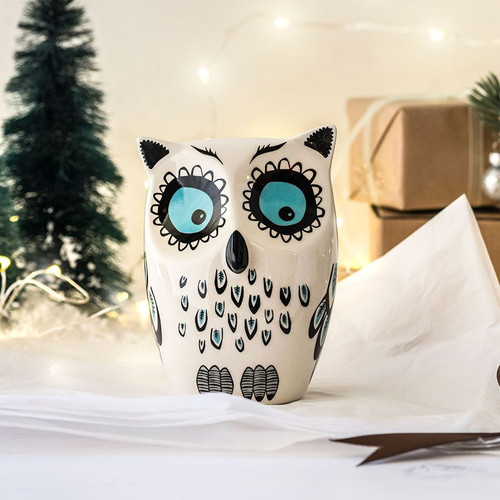 Handmade Ceramic Owl Money Box Coopers