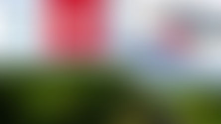 Très belle vidéo du trail du 04/10/2025 . A voir absolument!