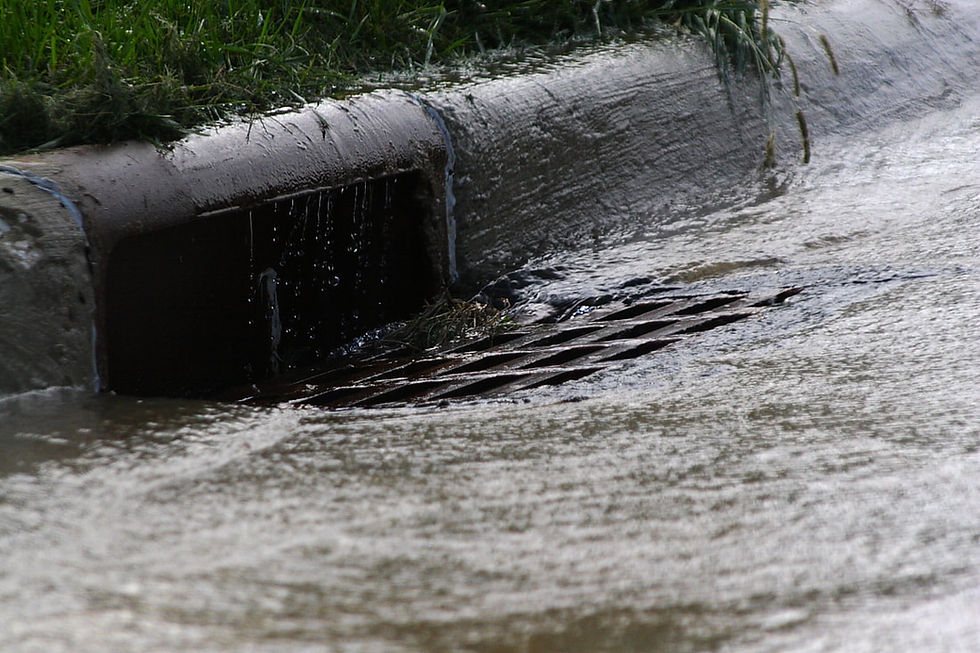Water flows into a storm drain on a wet street, surrounded by grass. The scene is gray and overcast, suggesting a rainy day.