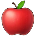 image0_edited_edited.webp