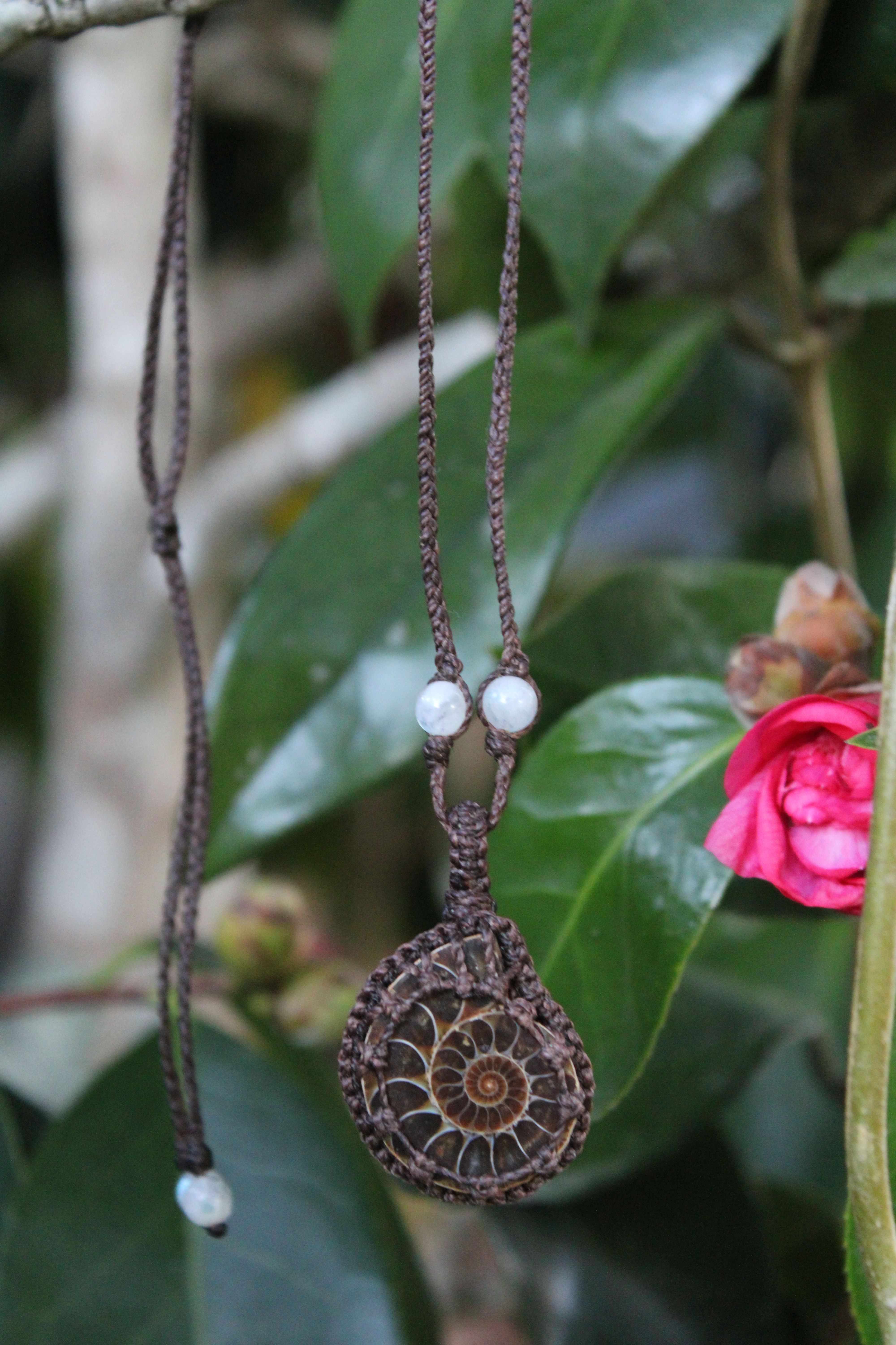 Ammonite Necklace