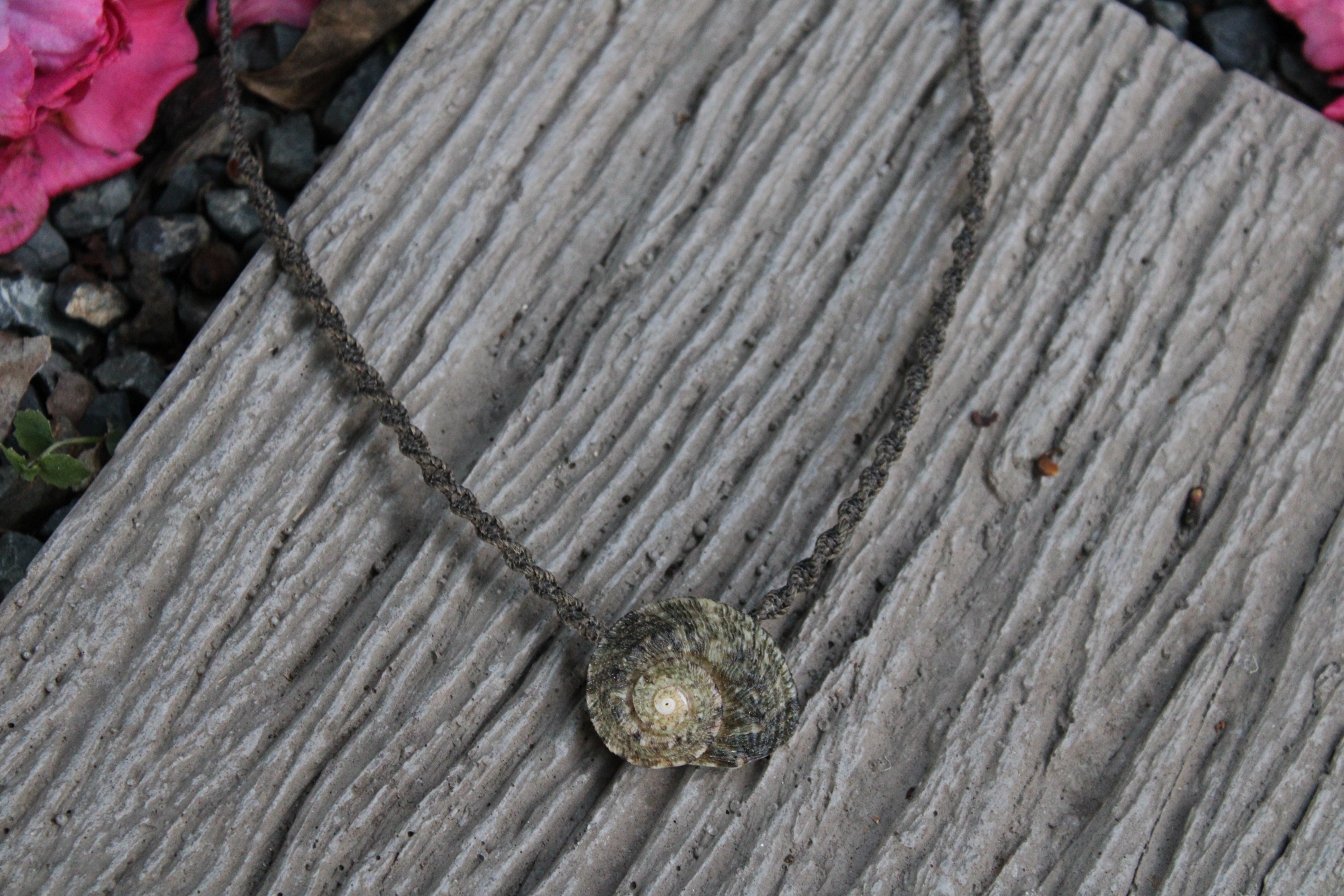 Spiral Shell Necklace