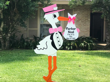 Baby Announcement Stork Central Florida Orlando