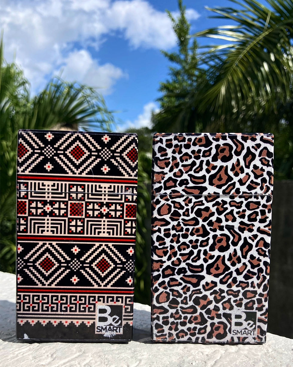 Miniatura: Leopardo 1