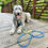 Thumbnail: Hands Free Leash