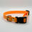 Thumbnail: Adjustable Quick Release Collar