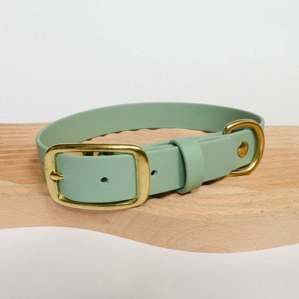 Thumbnail: Buckle Collar