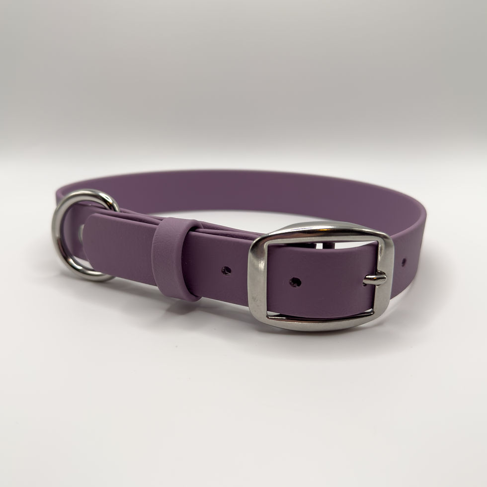 Buckle Collar