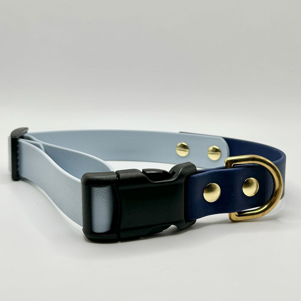 Thumbnail: Mystery Collar